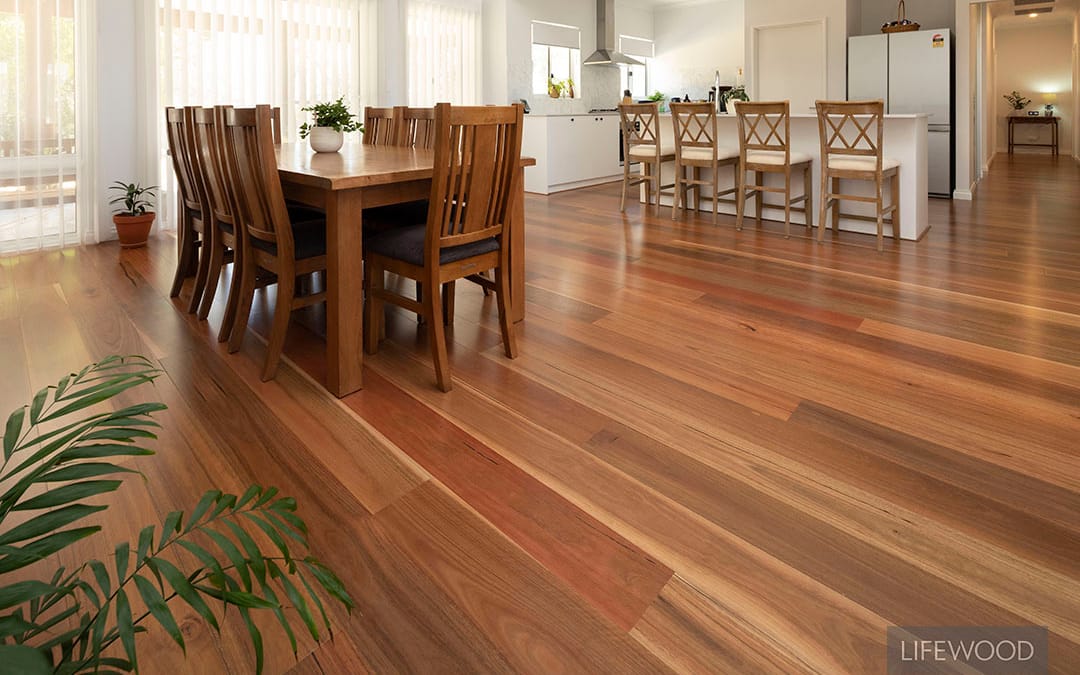 Family loves their new home with Spotted Gum