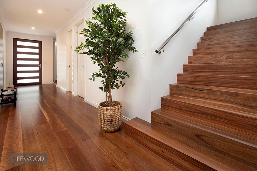 Spotted Gum Staircase